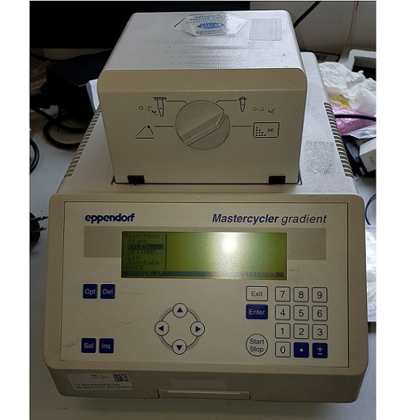 Mastercycler gradient מכשיר PCR יד שניה Pre-owned